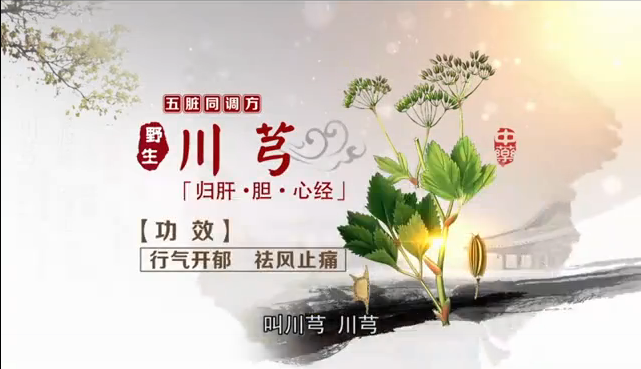 葛洪桂龙药膏川穹行气开郁、祛风止痛