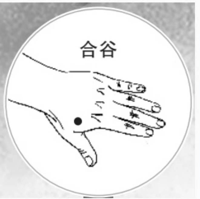 合谷穴